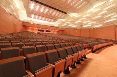 新奇耐特:劇場(chǎng)觀眾廳座椅中的聲學(xué)控制